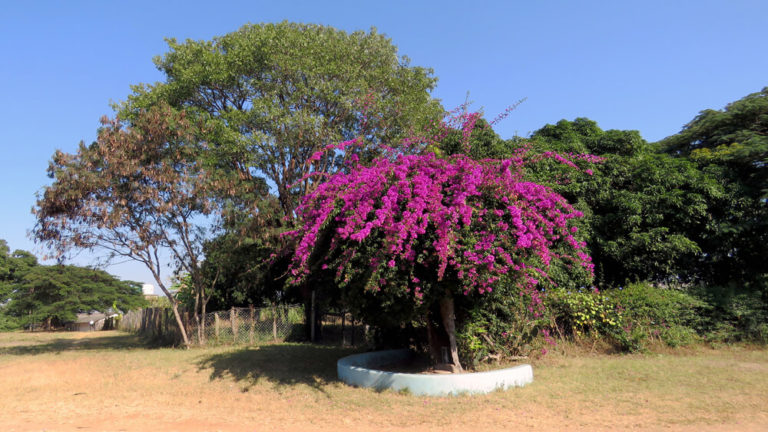 St. Kalemba, Sambia 2018