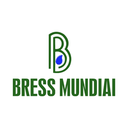 BMCS Bress Mundial Container Service GmbH (Logo)