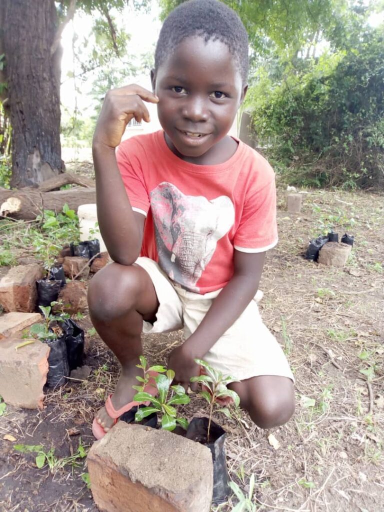 Mehr über den Artikel erfahren Plant and Play in Sambia