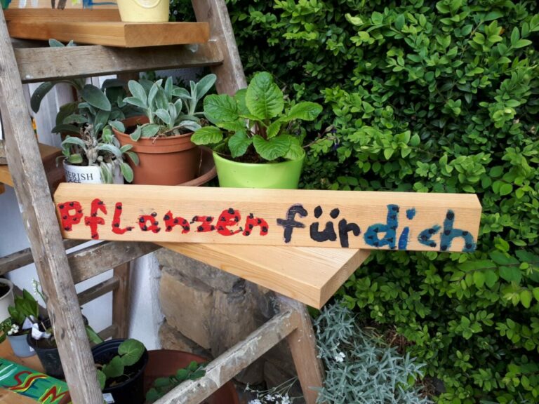 Blumen_Spende 1