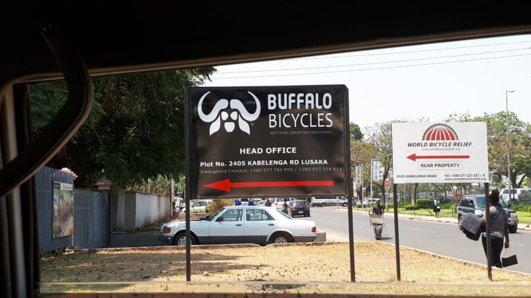 Buffalo Bikes