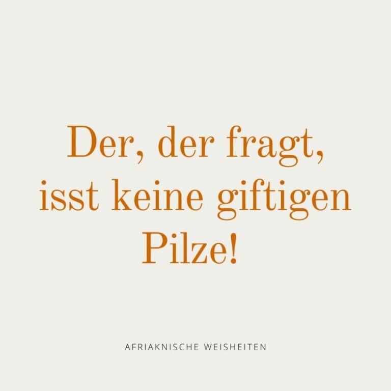 Adventskalender 22-12