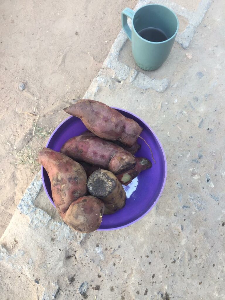 Sogar mit Süßkartoffeln