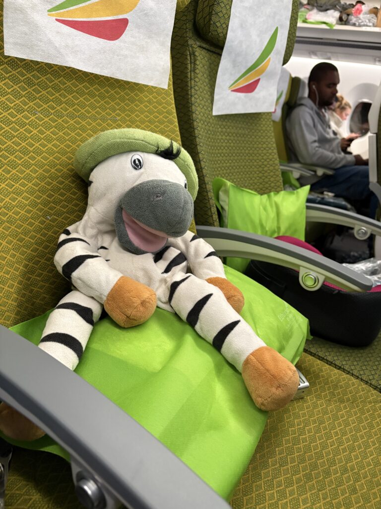 Zebra Franz der ...