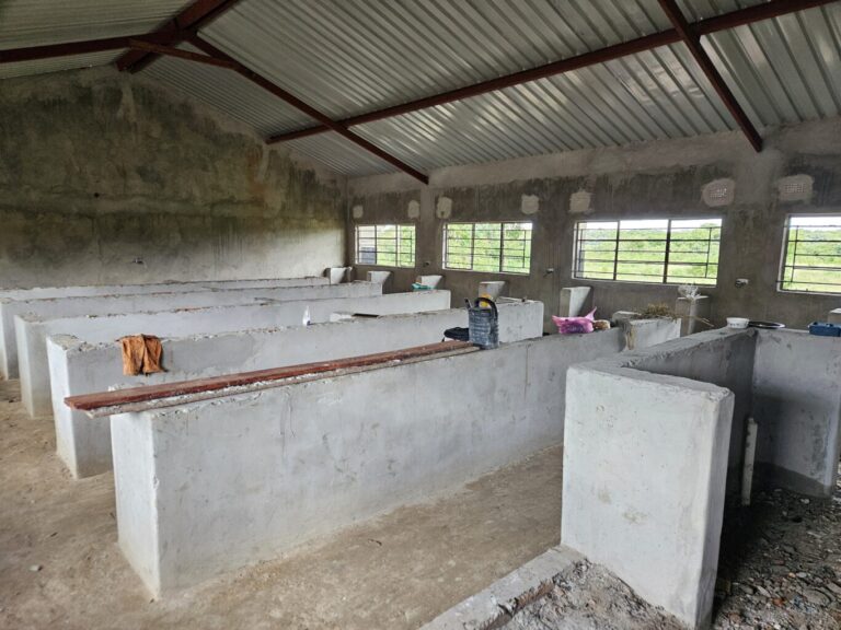 Das neue Computer- ...