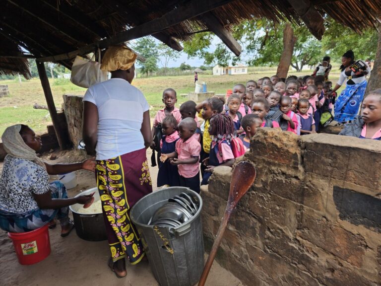 ... Primary School ...