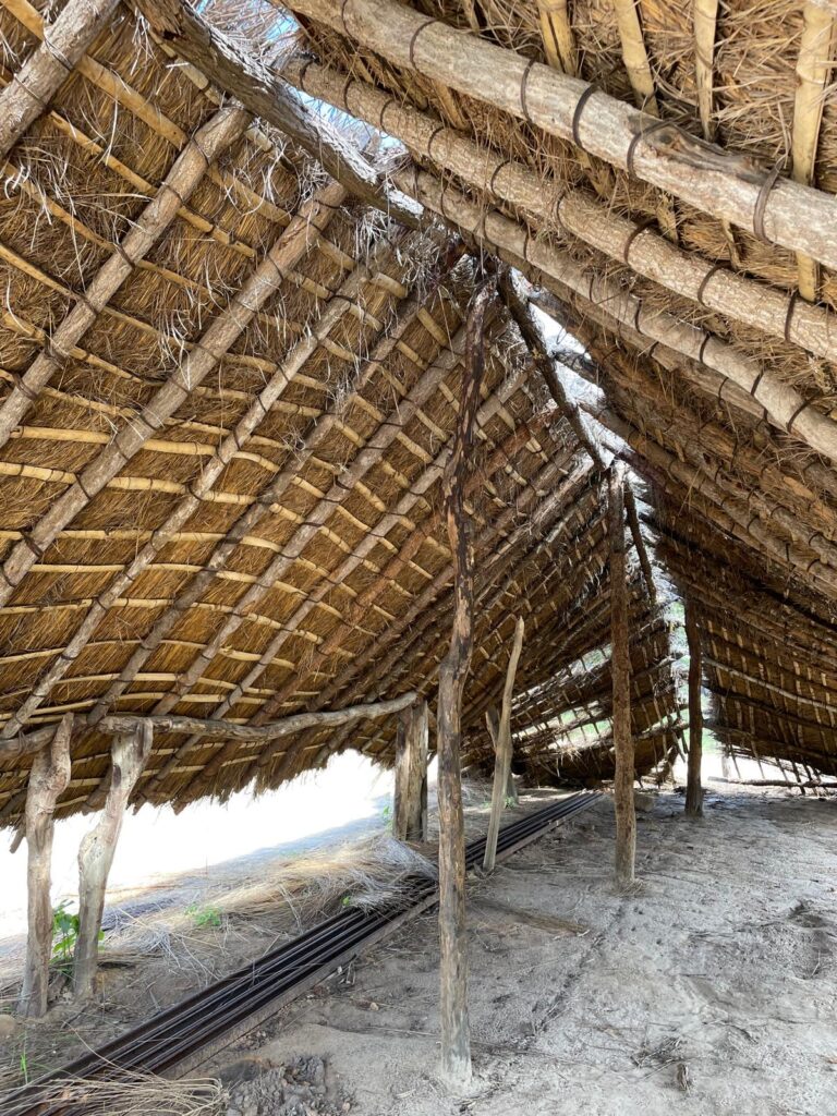 .. Musa Primary School ...