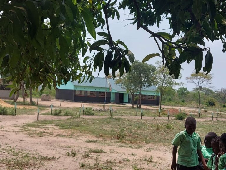 Die neue Musa International School